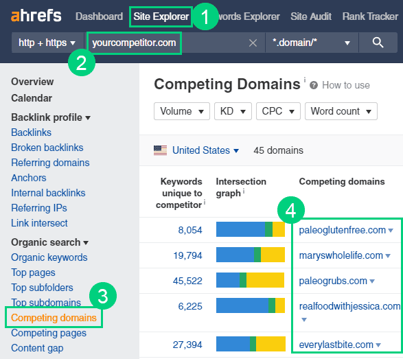 Ahrefs Site Explorer Competing Domains