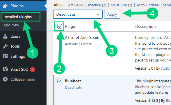 Delete All Default Plugins