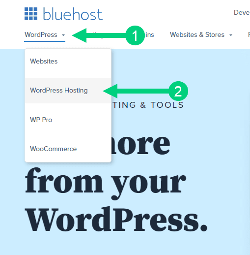 Bluehost Step 1