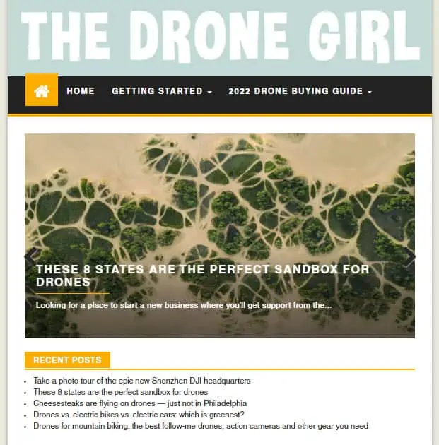 The Drone Girl