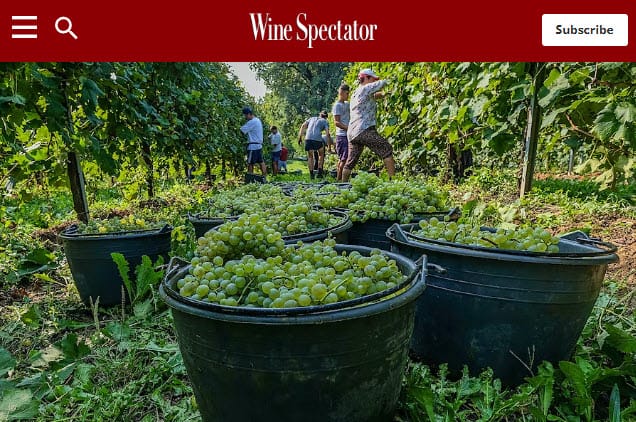 Wine Spectator